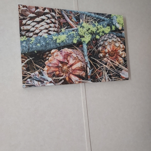 Pine cone canvas painting - Picture 1 of 5